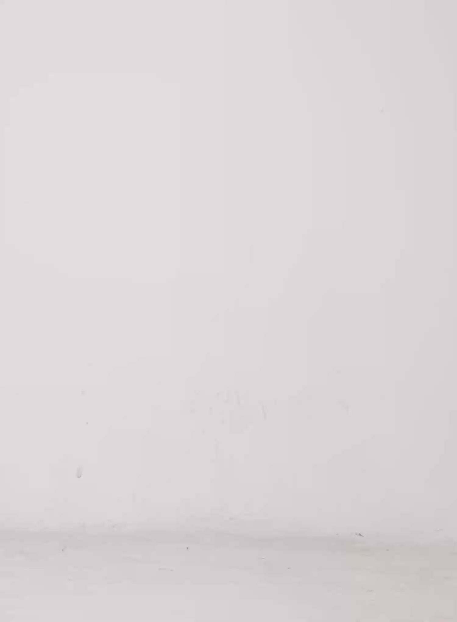 Ruffled Gingham Tiered Mini Skirt CL528